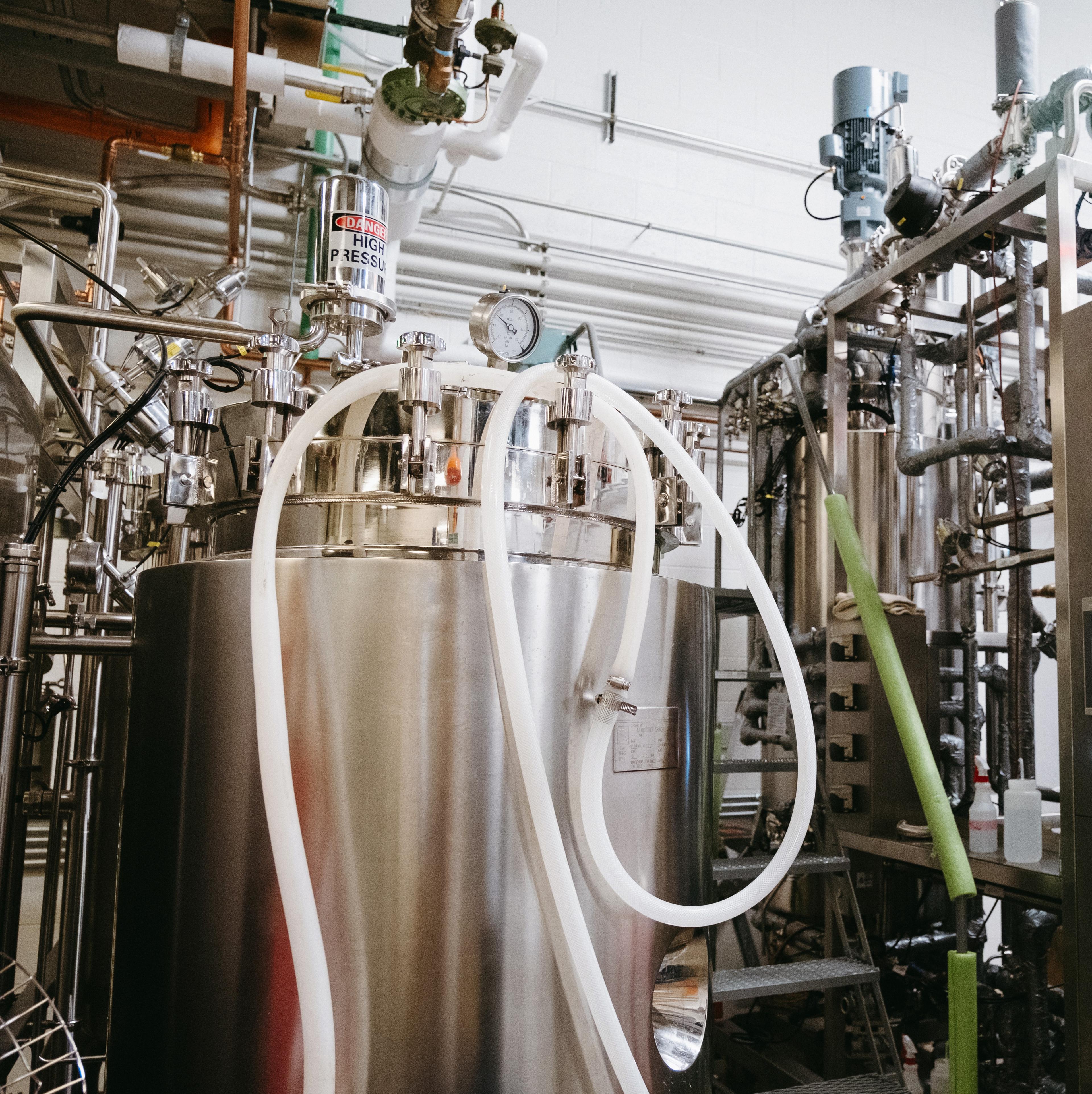 Fermentation Development and Scale Up